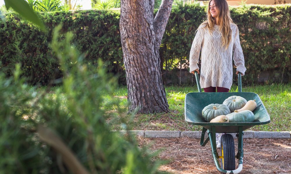 Aménager un jardin de ville sans vis-à-vis : astuces et idées pour profiter pleinement de son extérieur