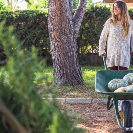 Aménager un jardin de ville sans vis-à-vis : astuces et idées pour profiter pleinement de son extérieur